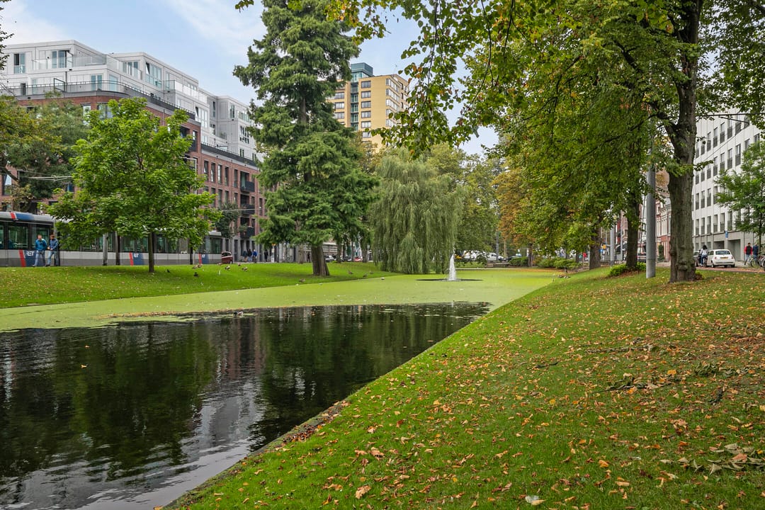 Foto 31 van Noordsingel 159-C