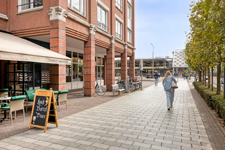 Foto 33 van Leonardo da Vinciplein 36