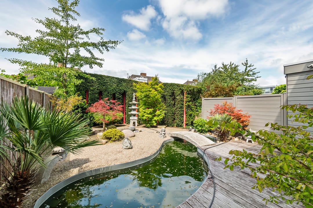 Foto 28 van Ruisvoorn 65