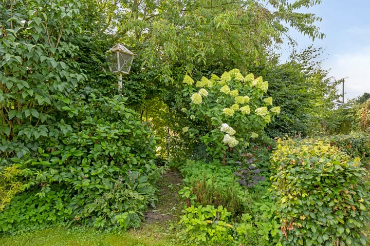 Foto 43 van Spoorpad 8