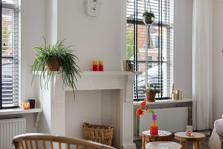 Foto 11 van Vliet 53