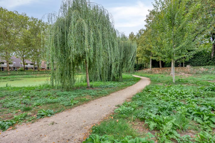 Foto 44 van Graaf Adolfstraat 3