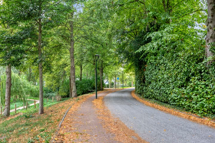 Foto 46 van Graaf Adolfstraat 3