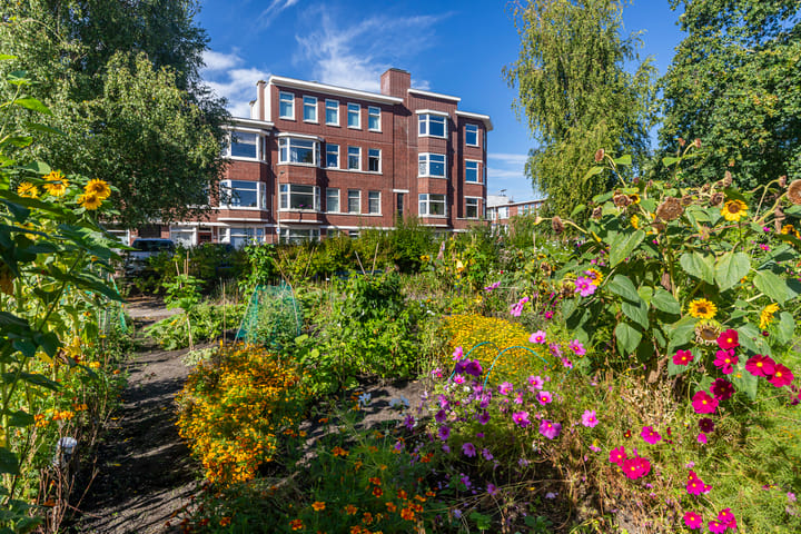 Foto 26 van Mient 224