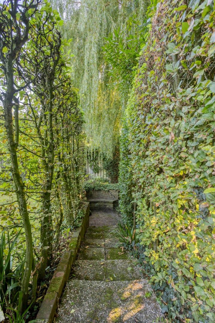 Foto 45 van De Twee Roeden 11