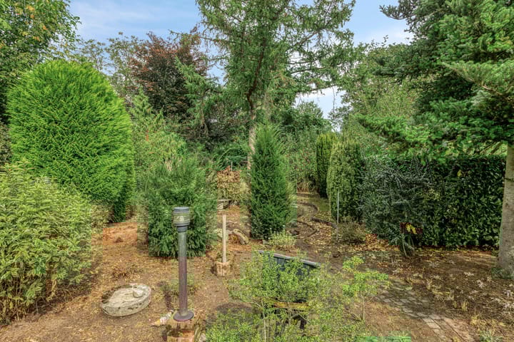 Foto 37 van Kaneelstraat 41-A