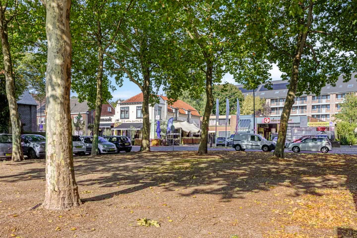 Foto 43 van Kaneelstraat 41-A