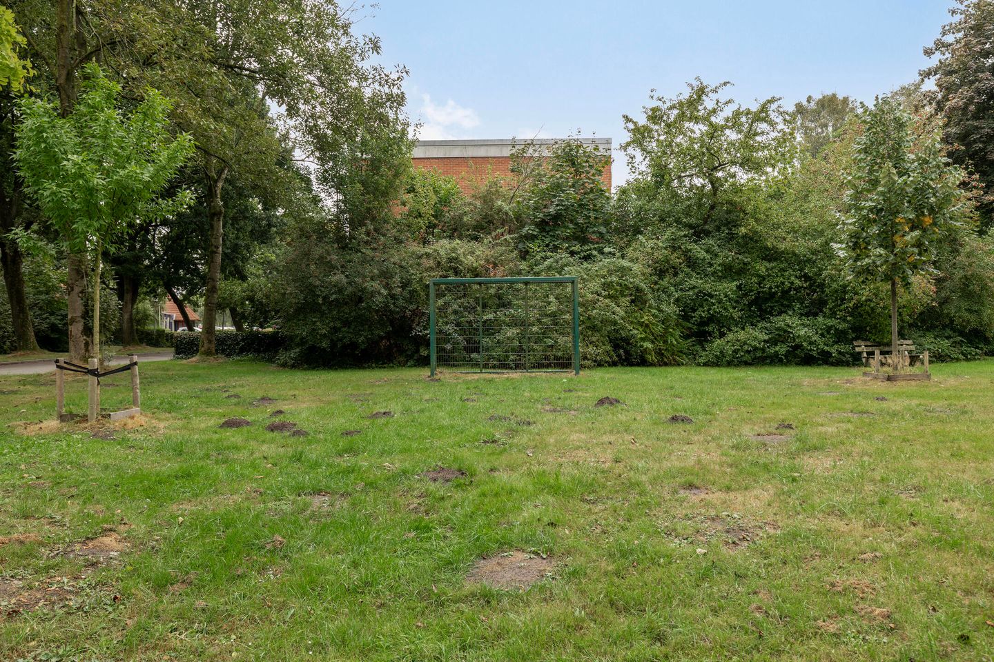 Foto 49 van Wederikweg 74