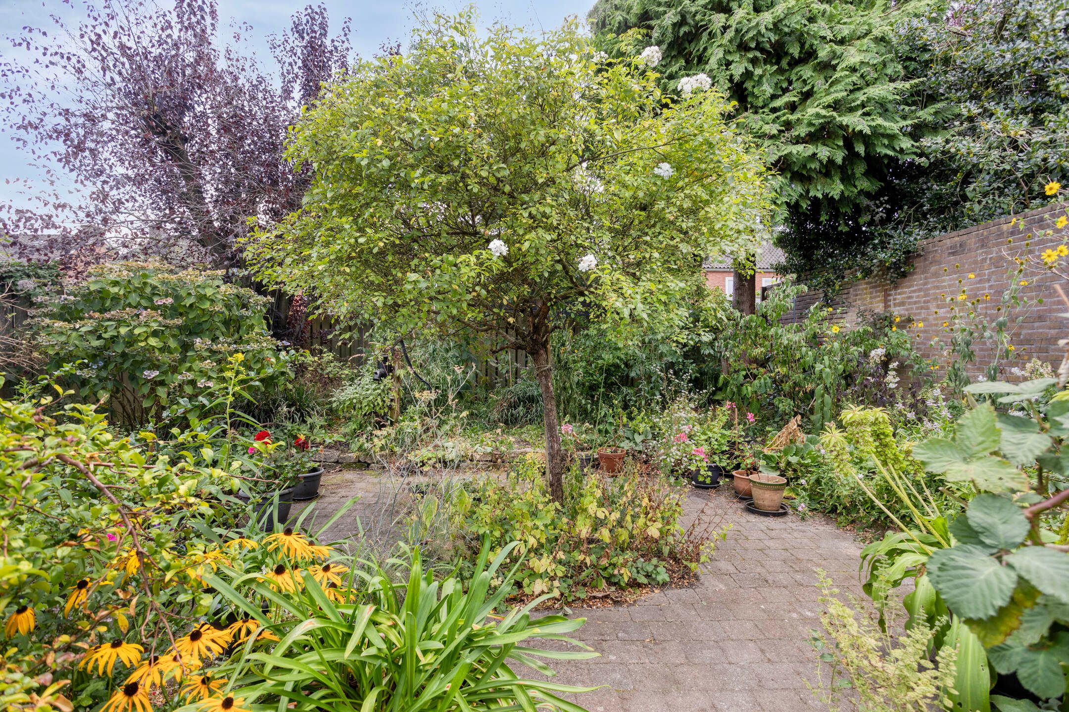 Foto 24 van Marijkestraat 28