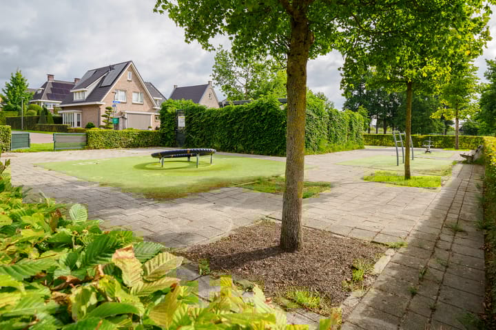 Photo 39 of Baars 26