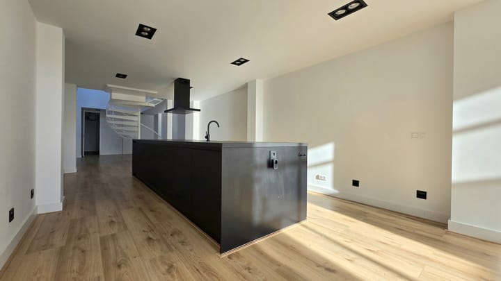 Photo 6 of Jan Dommeringpad 7