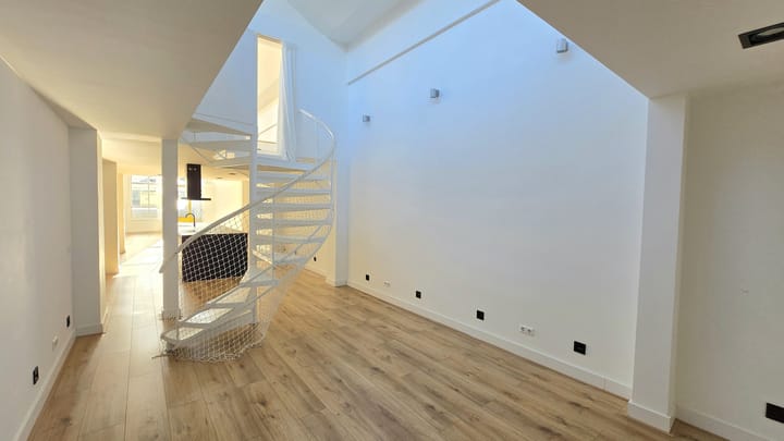 Photo 13 of Jan Dommeringpad 7