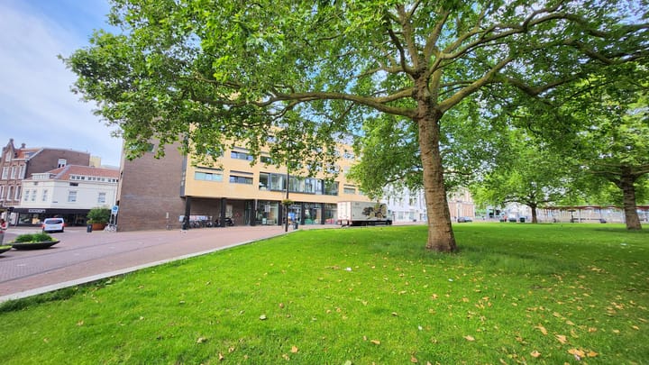 Photo 25 of Jan Dommeringpad 7