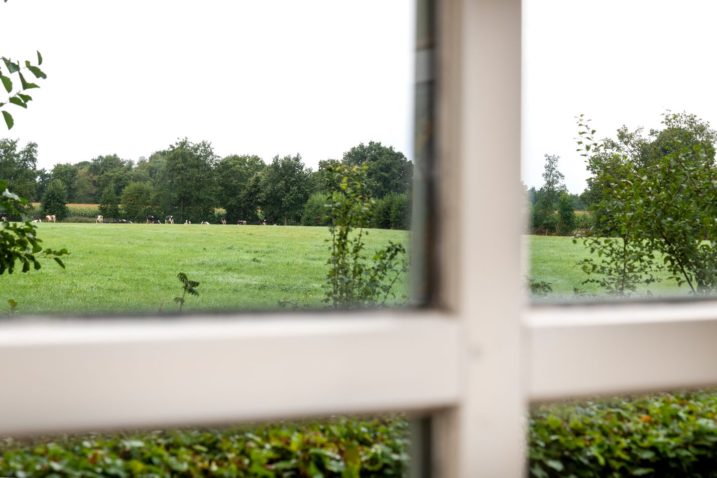 Photo 59 of De Bakkerij 3