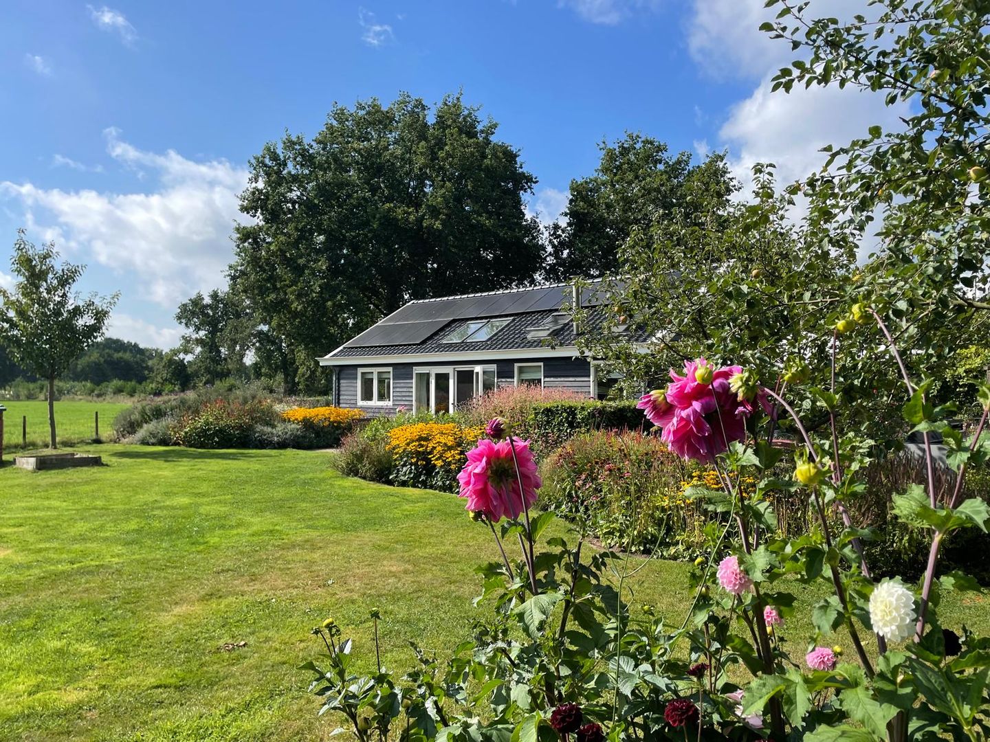 Photo 65 of De Bakkerij 3