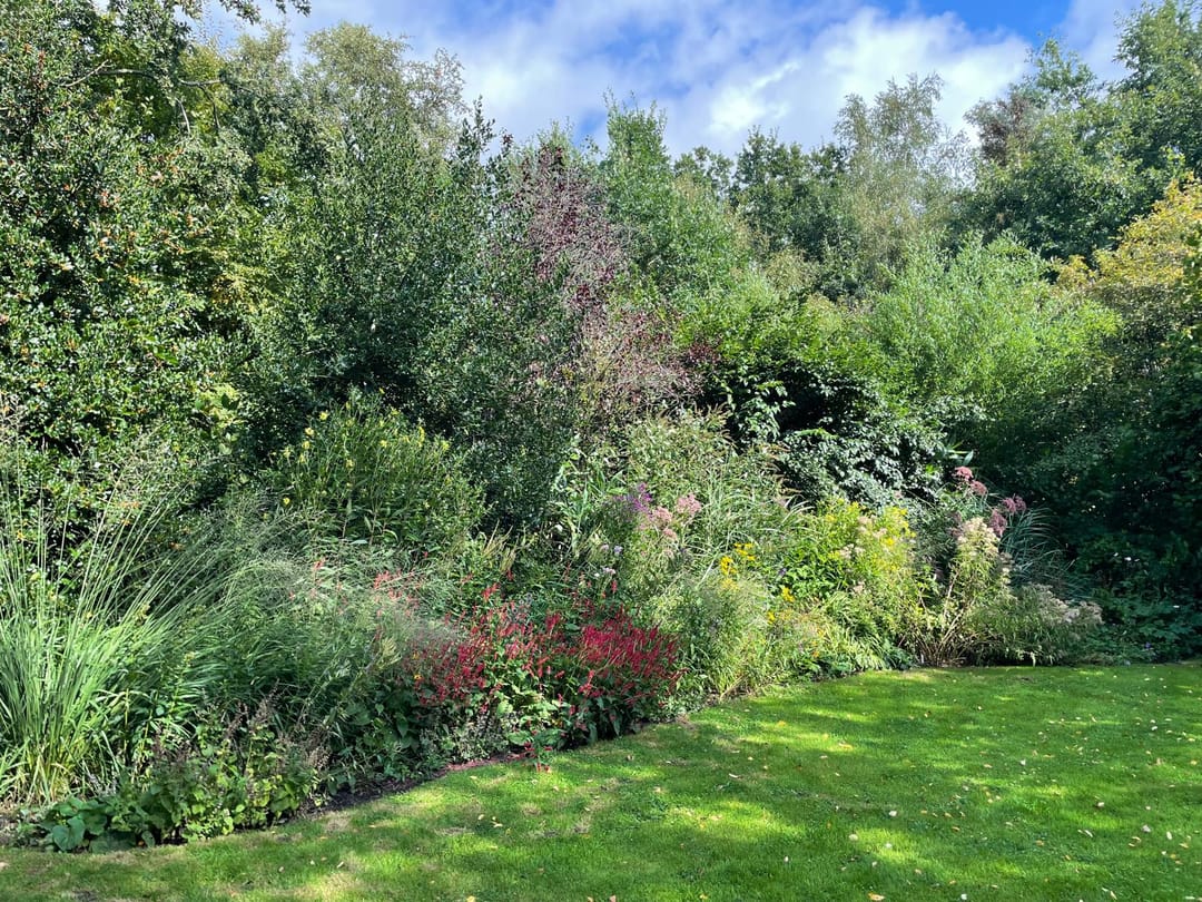 Photo 67 of De Bakkerij 3