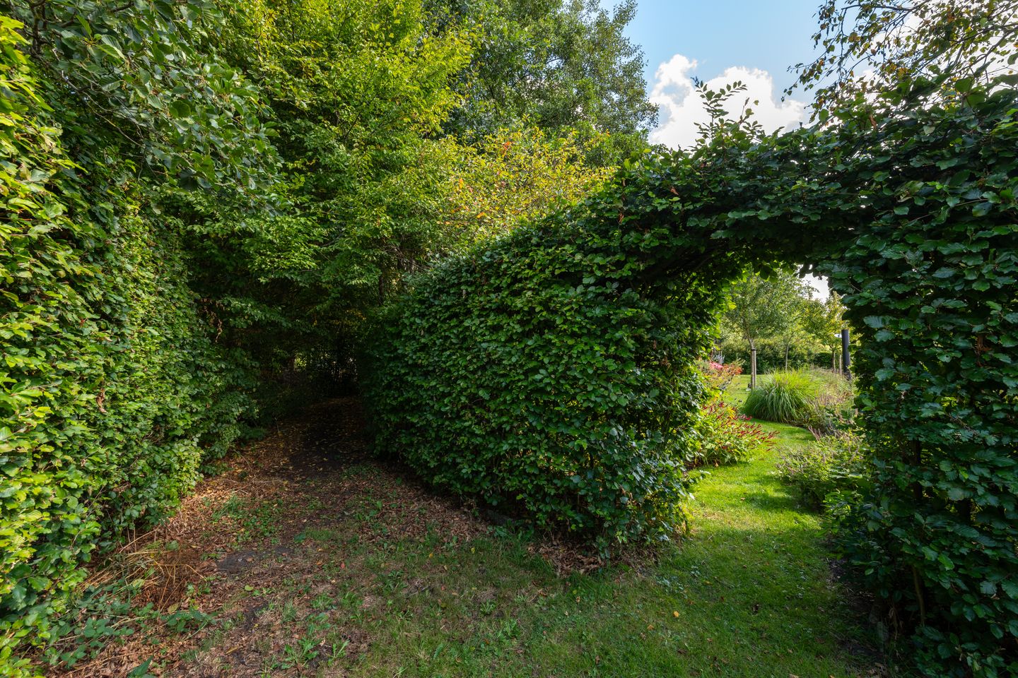 Photo 70 of De Bakkerij 3