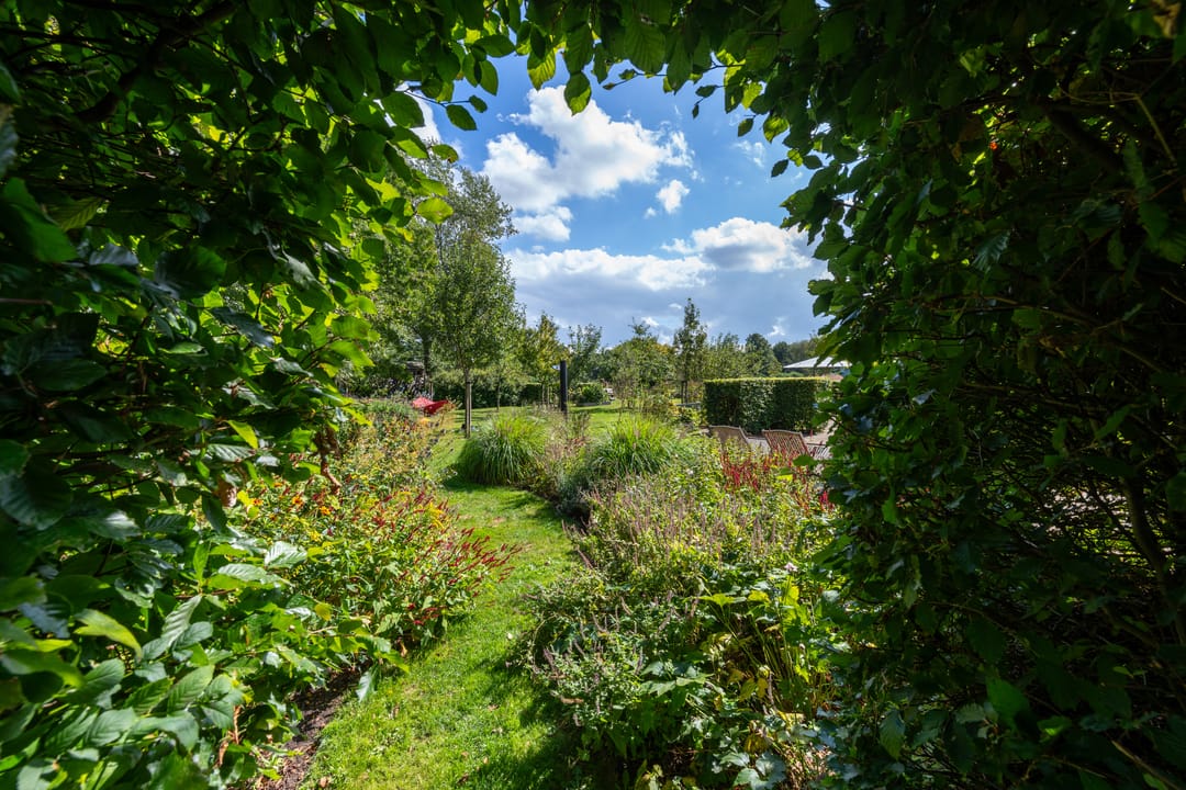 Photo 71 of De Bakkerij 3