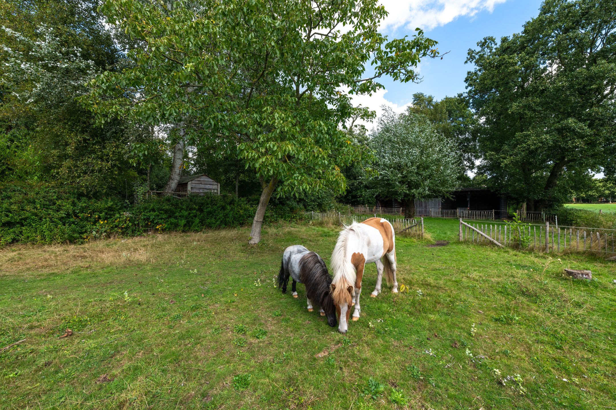 Photo 72 of De Bakkerij 3