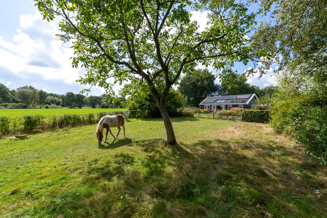 Photo 73 of De Bakkerij 3