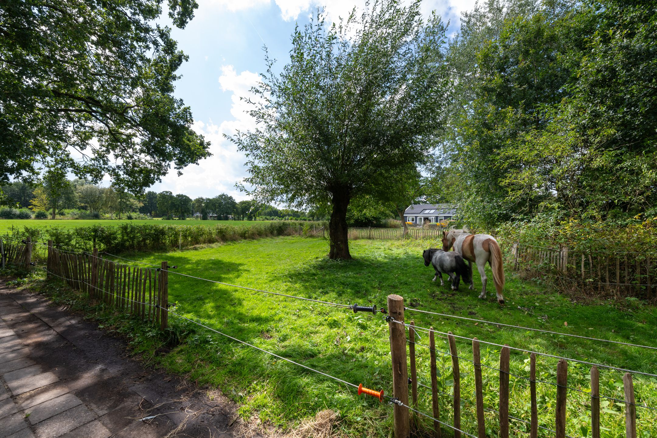 Photo 75 of De Bakkerij 3