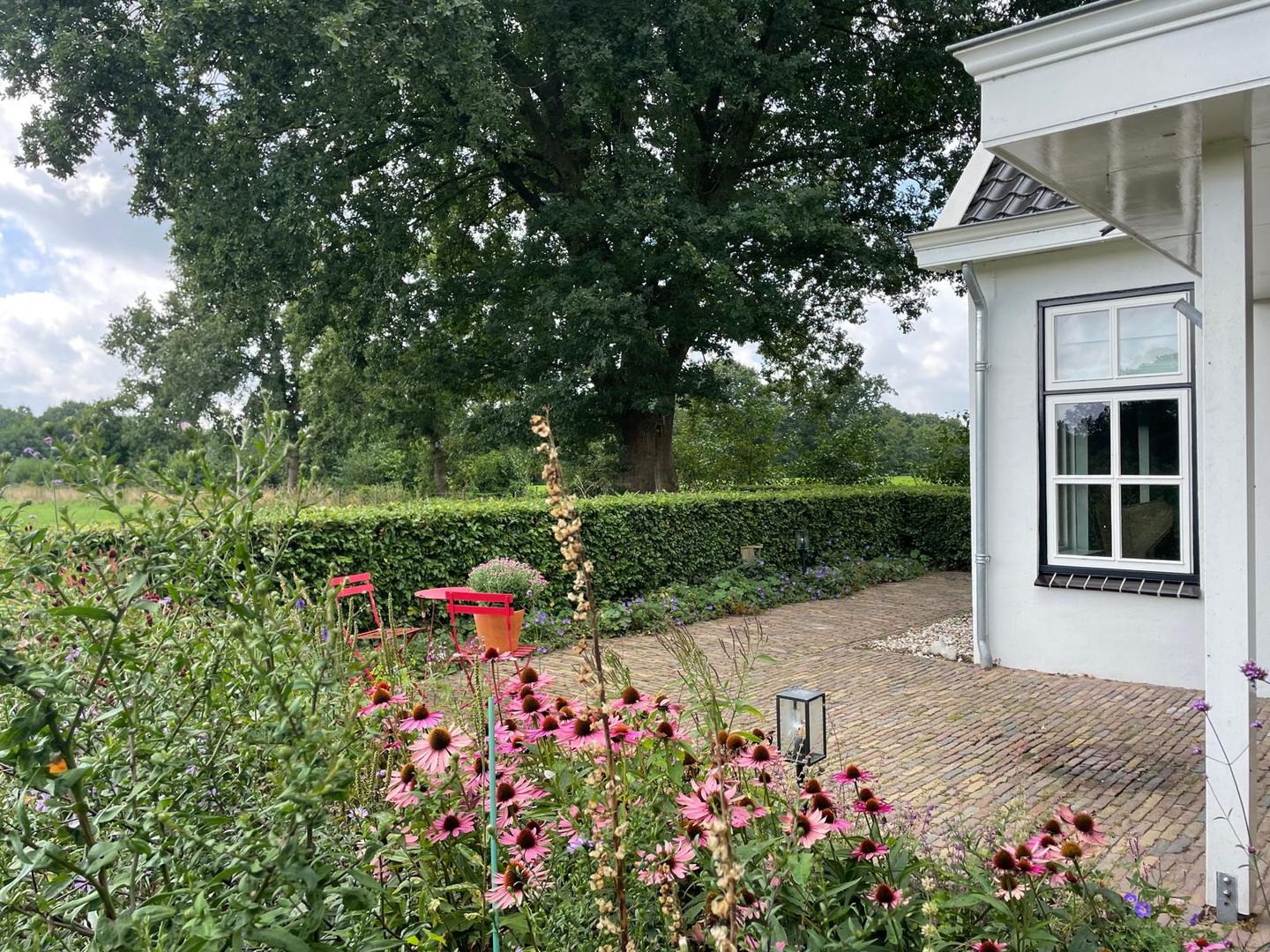 Photo 80 of De Bakkerij 3