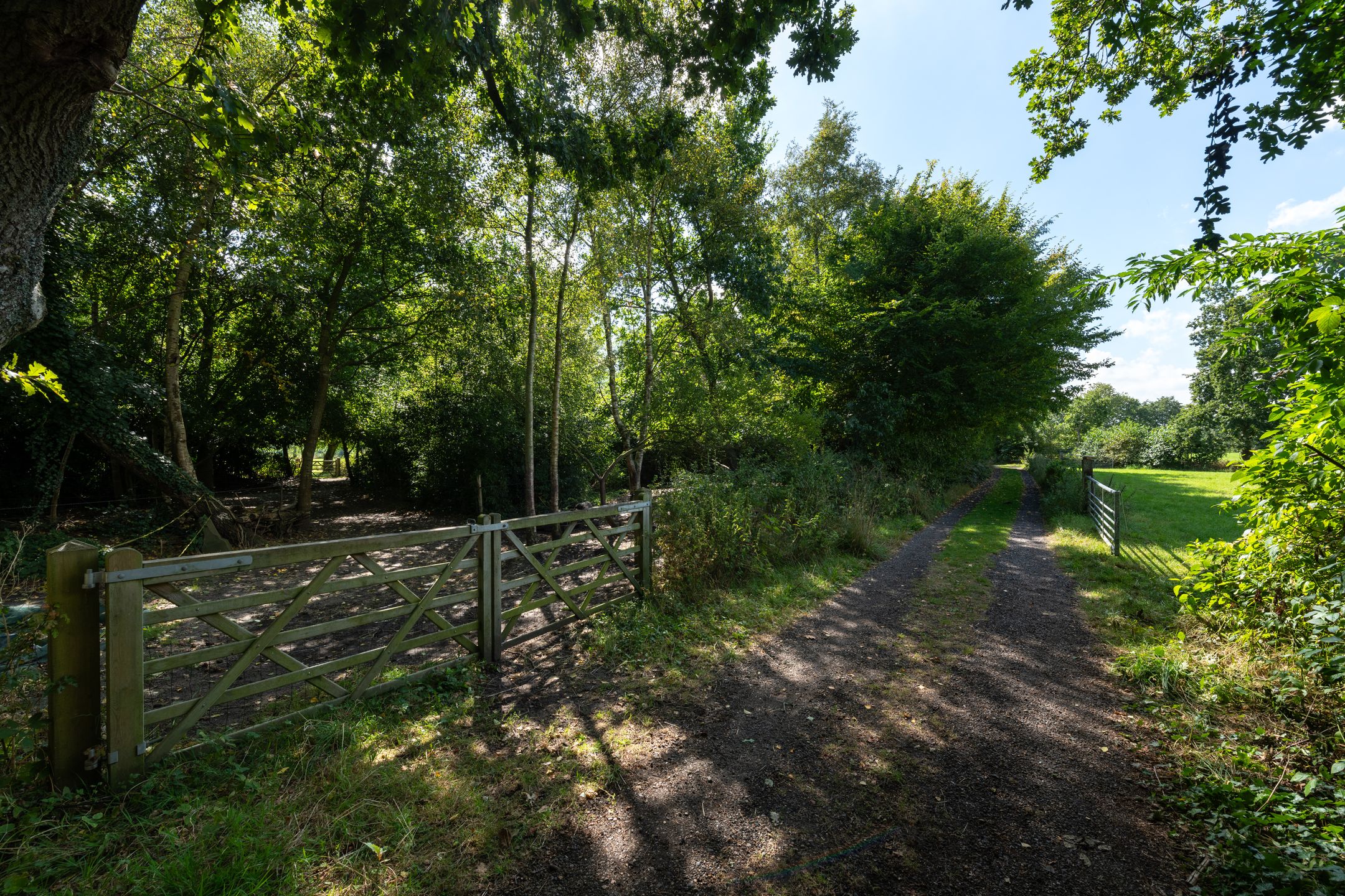 Photo 81 of De Bakkerij 3