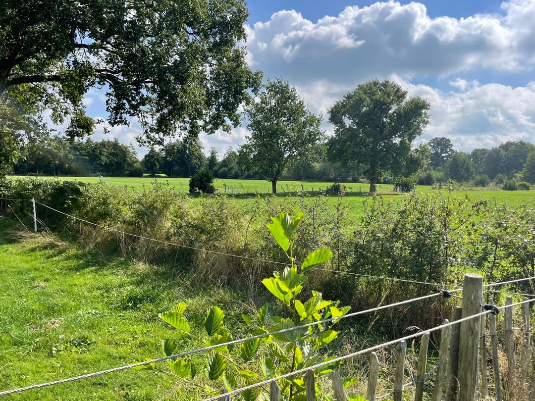 Photo 83 of De Bakkerij 3