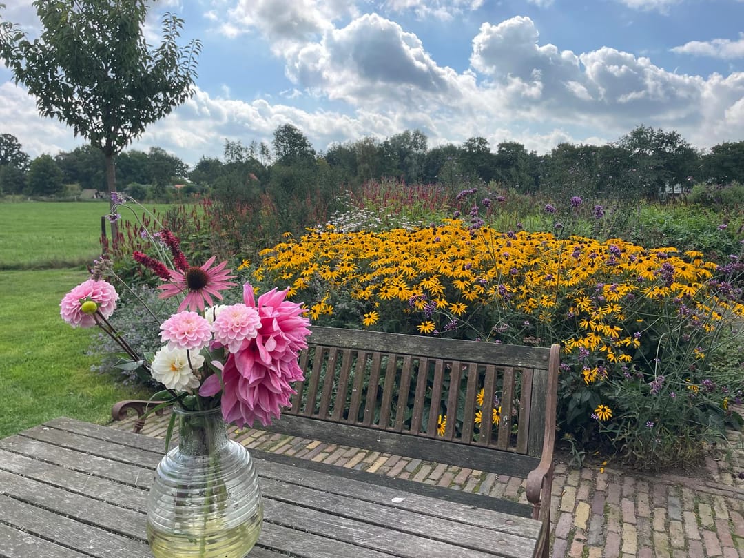 Photo 86 of De Bakkerij 3