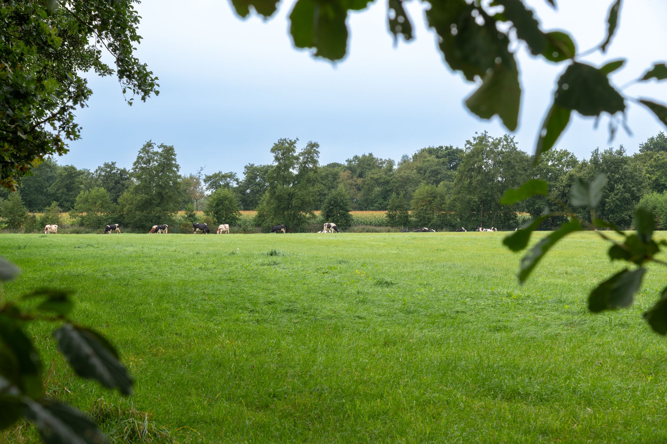 Photo 90 of De Bakkerij 3