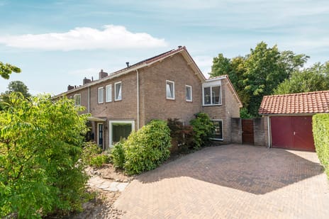 undefined main image