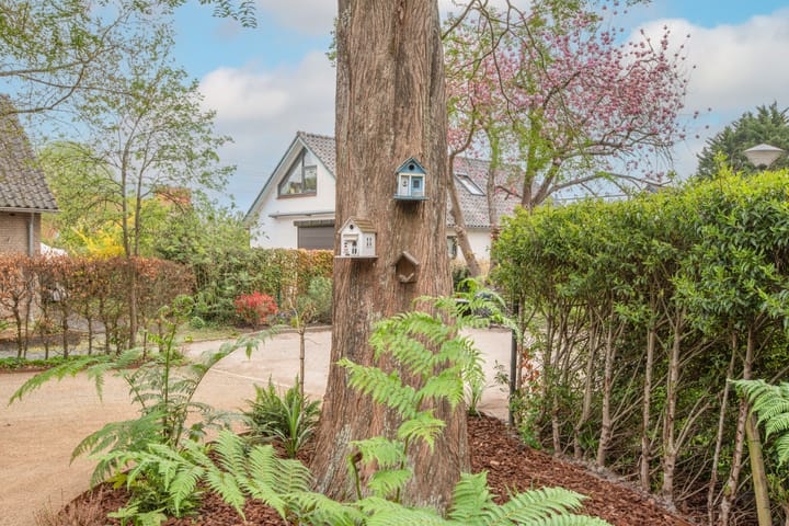 Photo 63 of Louise de Colignylaan 6