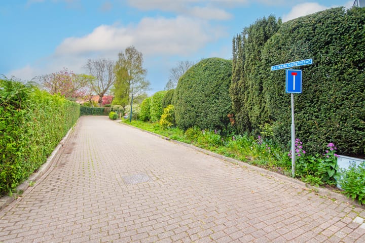 Photo 73 of Louise de Colignylaan 6