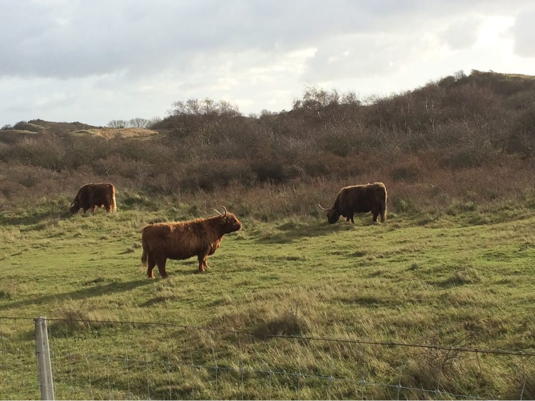 Photo 43 of Dennekoplaan 61