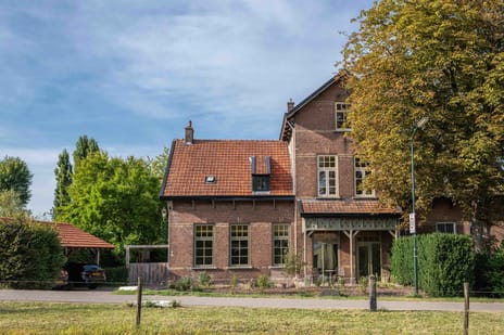 undefined main image