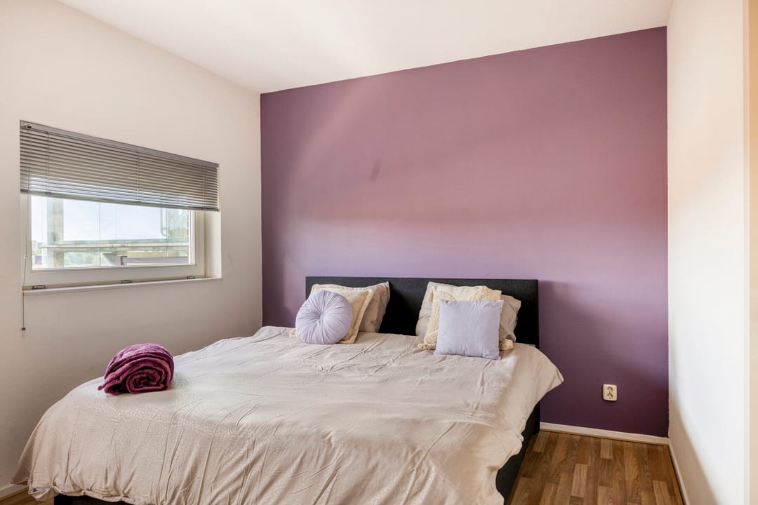 Photo 22 of De Gortpeller 61