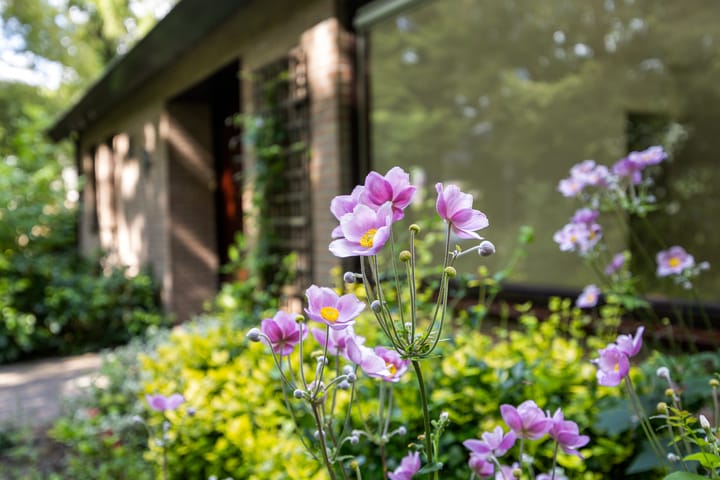 Photo 49 of Redger 5