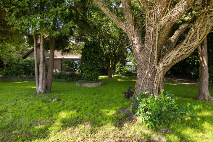 Photo 51 of Redger 5