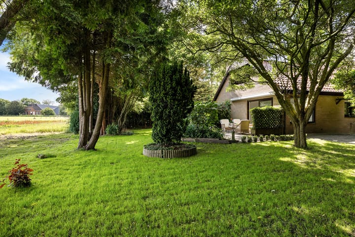 Photo 52 of Redger 5