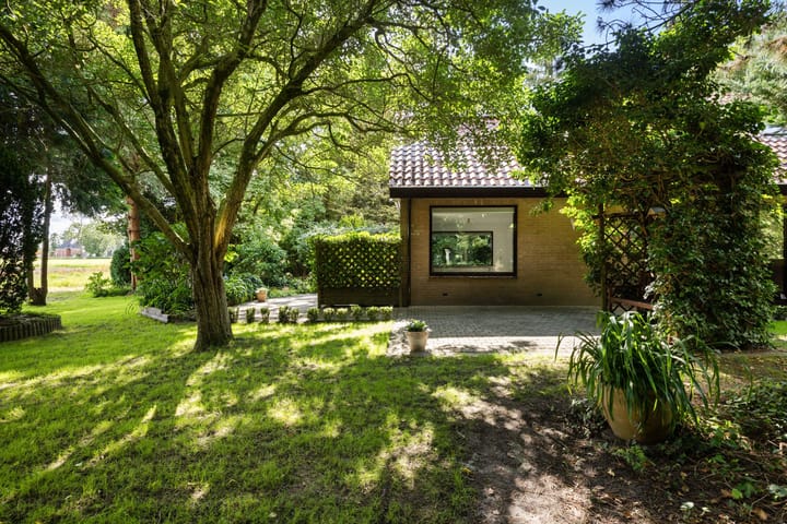 Photo 63 of Redger 5