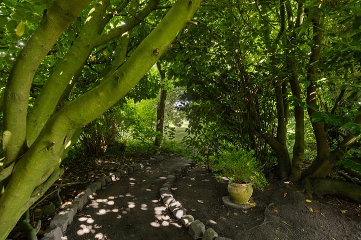 Photo 64 of Redger 5