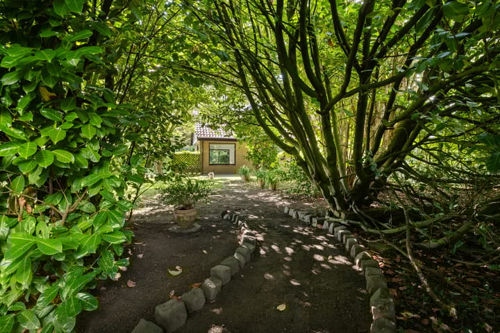 Photo 66 of Redger 5