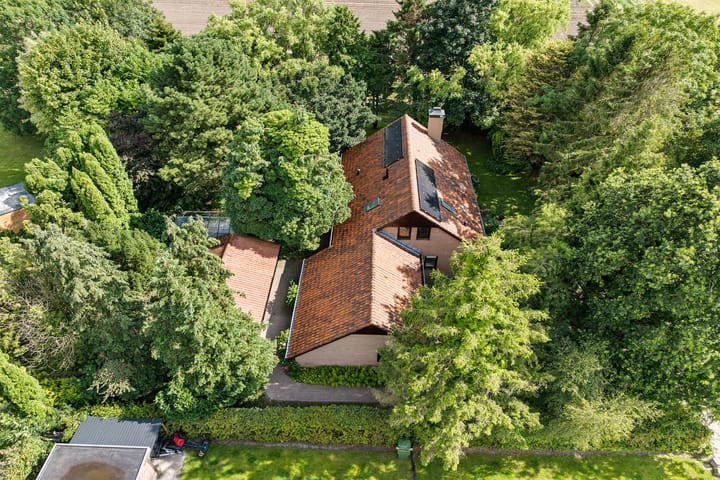 Photo 70 of Redger 5