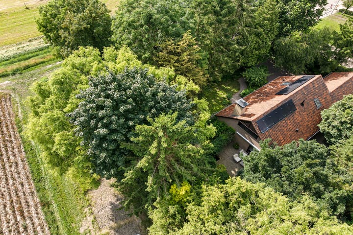 Photo 72 of Redger 5