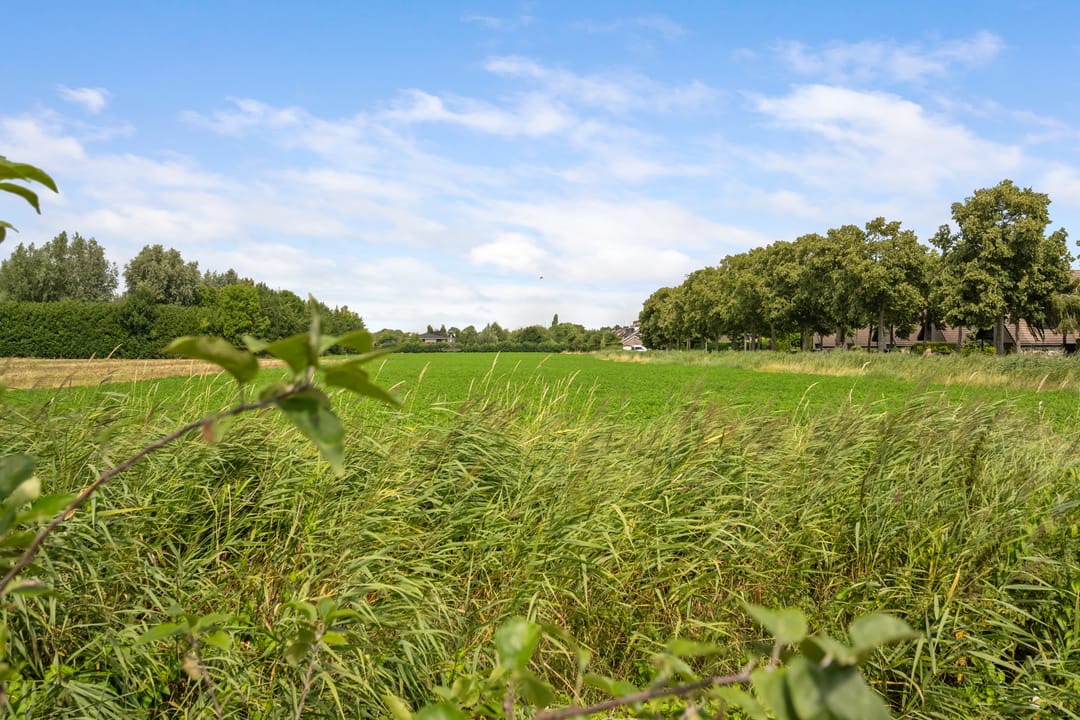 Foto 13 van Stelleveld 5