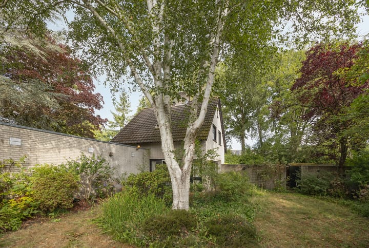 Foto 35 van Cellostraat 64