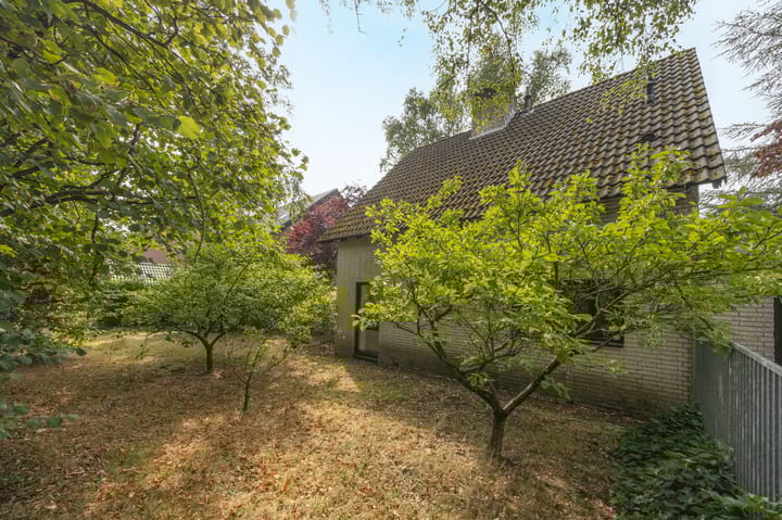 Foto 42 van Cellostraat 64