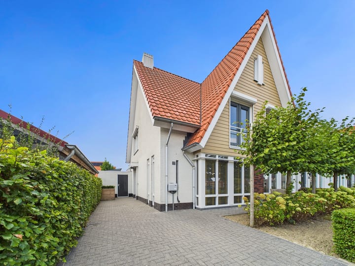 Foto 42 van Vuurvlinder 25