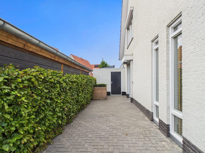 Foto 44 van Vuurvlinder 25