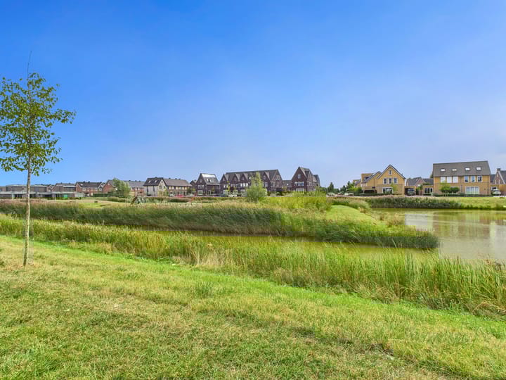 Foto 46 van Vuurvlinder 25